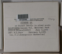 Image Associated With the Occurence